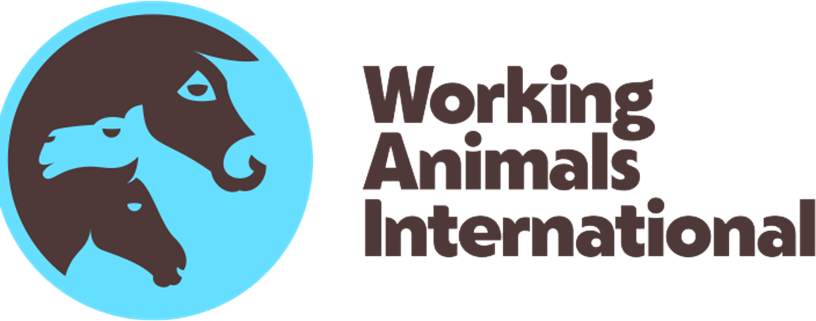 Client logo